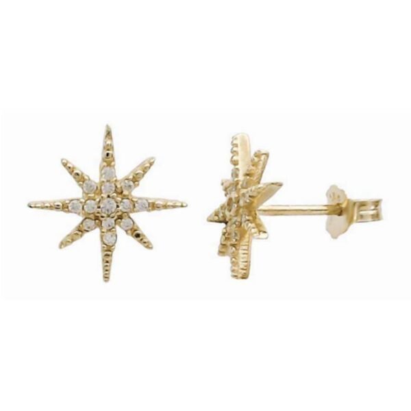 GK01310155 Σκουλαρίκια καρφωτά χρυσά Κ14 αστέρι του βορρά με λευκά ζιργκόν