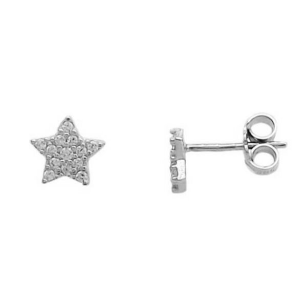 GK01320163 Σκουλαρίκια καρφωτά λευκόχρυσα Κ14 αστέρι με λευκά ζιργκόν