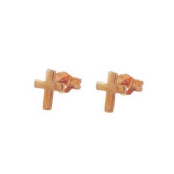 Ροζ χρυσά σκουλαρίκια καρφωτά